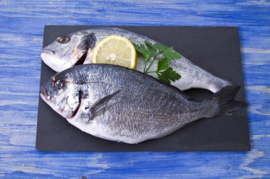 Balık, dal üzerinde mavi ahşap arka plan tahtaya