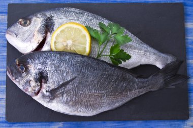 Balık, dal üzerinde mavi ahşap arka plan tahtaya