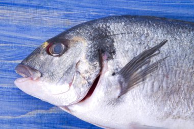 Balık, Eşkine maydanoz ve limon mavi ahşap zemin ile