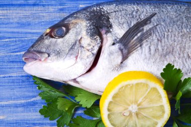 Balık, Eşkine maydanoz ve limon mavi ahşap zemin ile