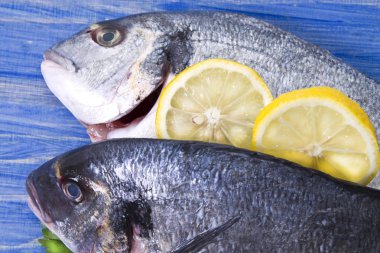 limon ve mavi ahşap bir zemin üzerine maydanoz çipura