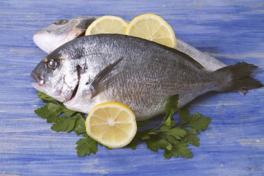 limon ve mavi ahşap bir zemin üzerine maydanoz çipura