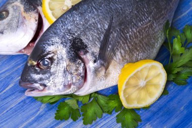 limon ve mavi ahşap bir zemin üzerine maydanoz çipura