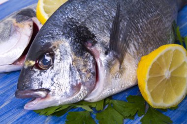 limon ve mavi ahşap bir zemin üzerine maydanoz çipura