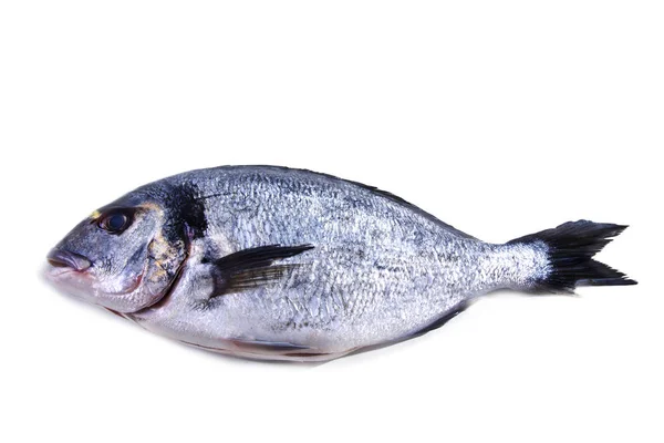 Pescado, dorado aislado sobre blanco — Foto de Stock