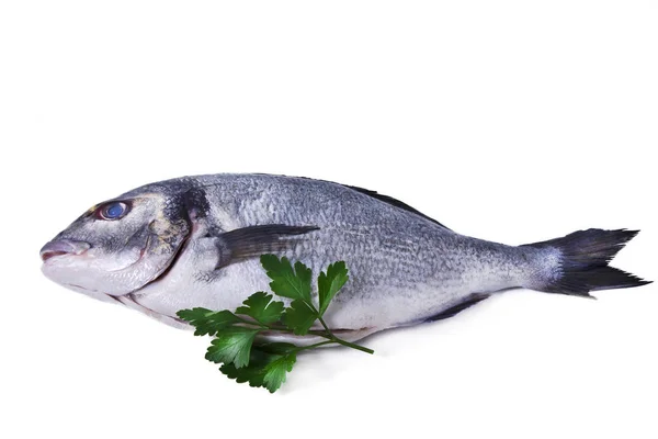 Pescado, dorado aislado sobre blanco — Foto de Stock