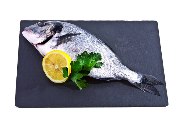 Balık, dal üzerinde mavi ahşap arka plan tahtaya