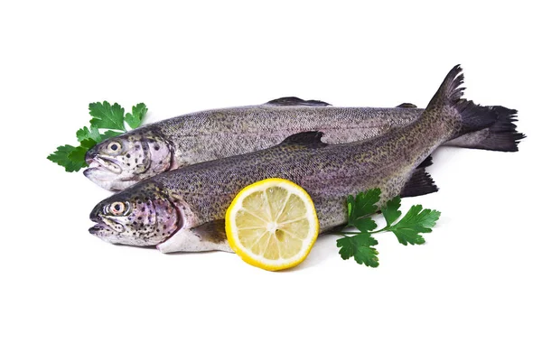 Pesce, trota fresca con prezzemolo isolato — Foto Stock