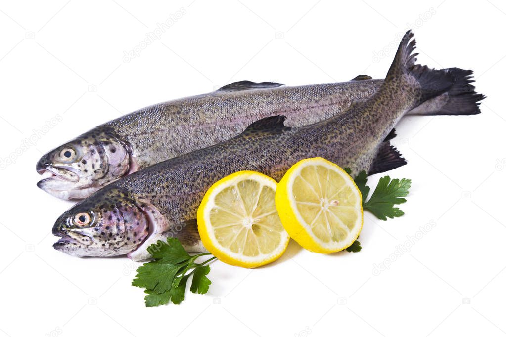 fish, fresh trout with  parsley isolated