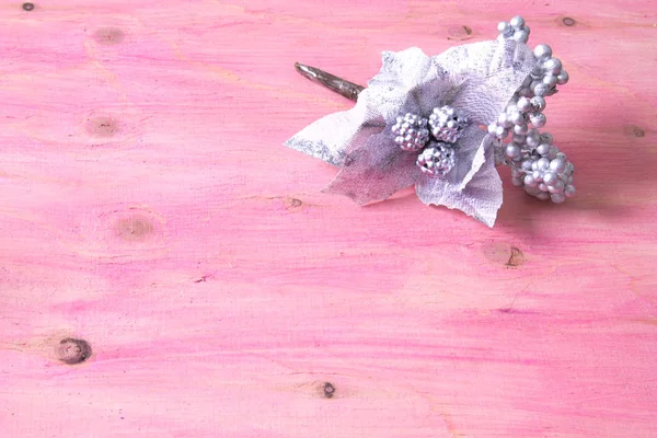 Fundo de Natal rosa com ramo de prata — Fotografia de Stock