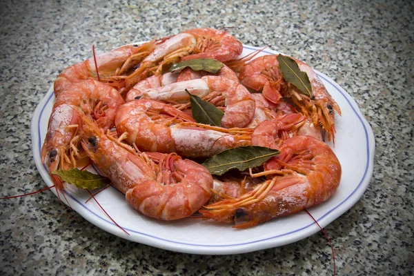 Langostinos en el plato de mesa — Foto de Stock