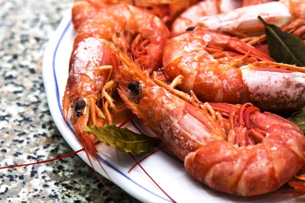 Langostinos en el plato de mesa — Foto de Stock