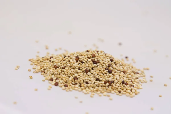 Quinoa isolata su bianco — Foto Stock