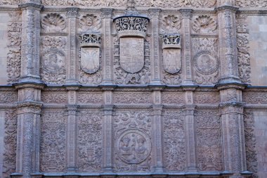 salamanca Üniversitesi, İspanya