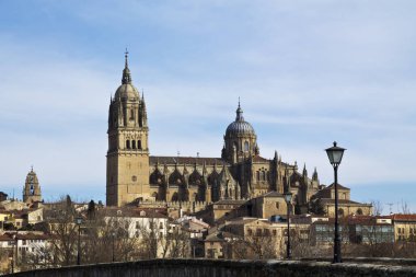 Roma köprüsü Salamanca, İspanya