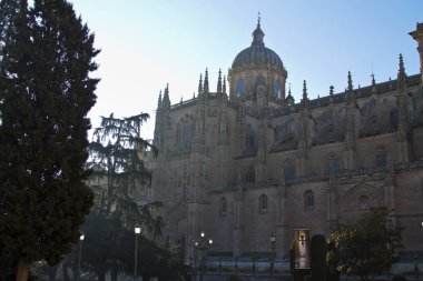 Katedral Salamanca, İspanya