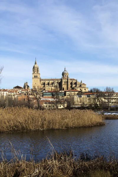 Katedra w salamanca, Hiszpania, Europa — Zdjęcie stockowe