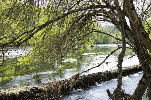 Wody rzeki stagnacja i pola — Zdjęcie stockowe