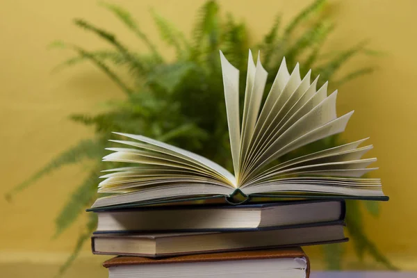 Open book on stack of books — Stock Photo, Image