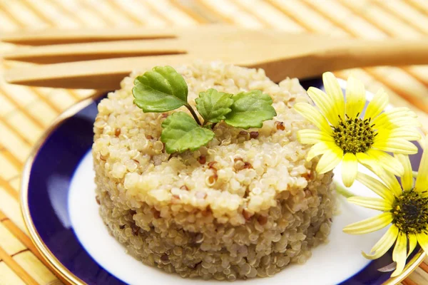 Whole spring quinoa dish — Stock Photo, Image