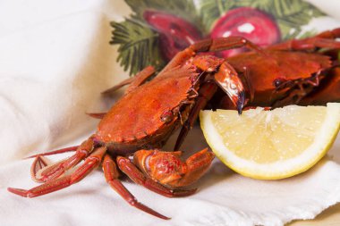 Noel masa örtüsü üzerinde pişmiş Yengeç