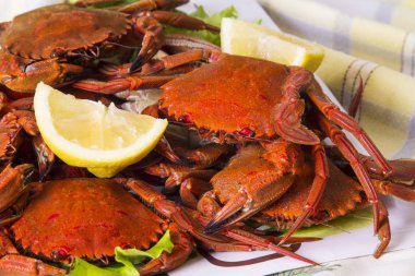 Deniz ürünleri, limon ile Yengeç yemek