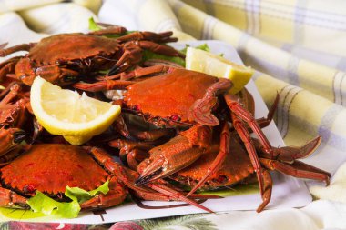 Deniz ürünleri, limon ile Yengeç yemek