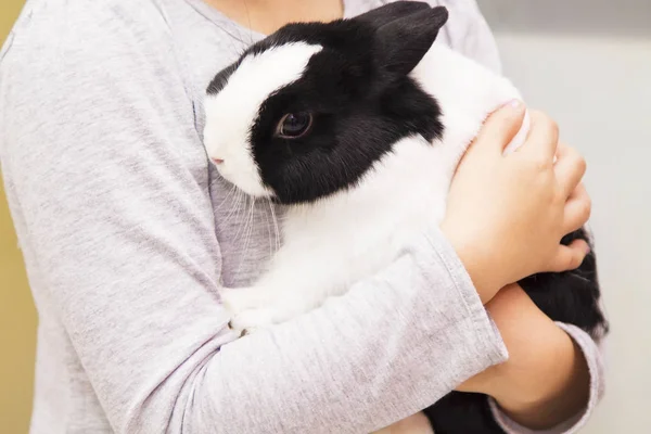 手里拿着兔子的女孩 — 图库照片