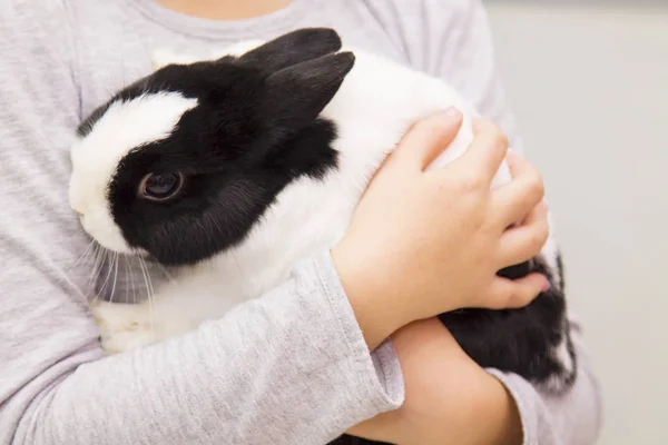 Mädchen Mit Kaninchen Der Hand — Stockfoto
