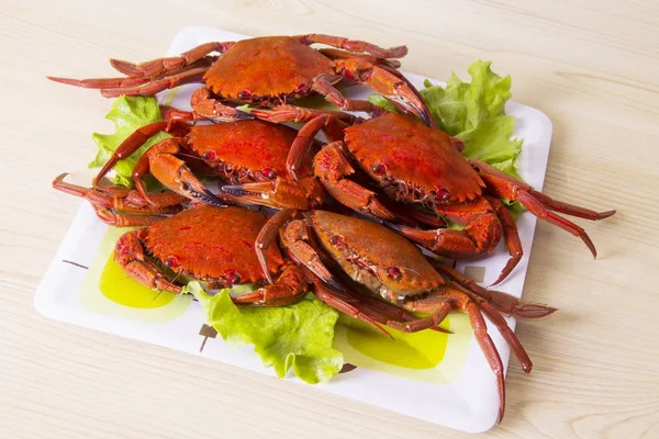 Krabbengericht Mit Salat — Stockfoto