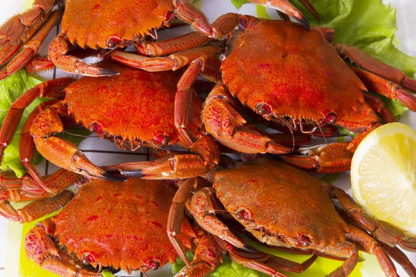 Krabbengericht Mit Salat Und Zitrone — Stockfoto