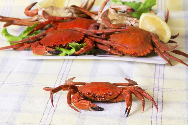 Plato Cangrejos Cocidos Con Lechuga — Foto de Stock