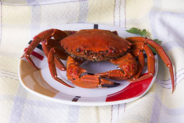 魚介類 レタスとカニ料理 — ストック写真