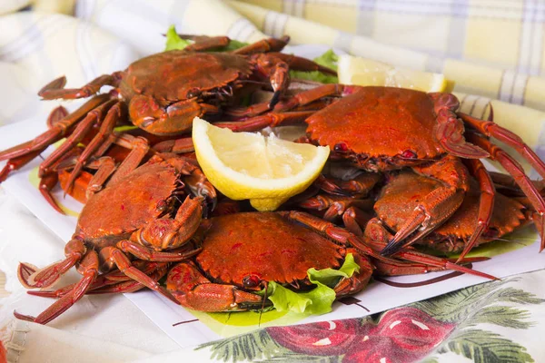 Mariscos Plato Cangrejo Con Limón —  Fotos de Stock