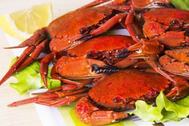 Deniz ürünleri, yengeçler marul ve limon ile
