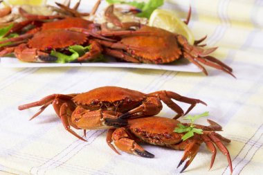 Deniz ürünleri, yengeçler marul ve limon ile