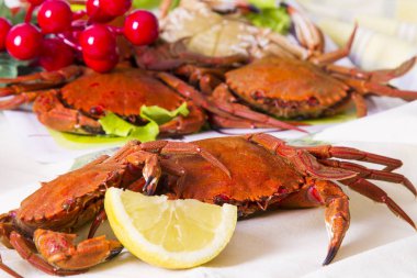 Noel yemeği, limon ile kasık biti.