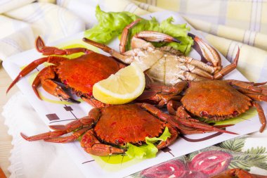 Noel yemeği, limon ile kasık biti.