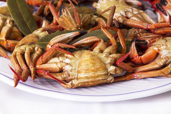 Plat Fruits Mer Crabes Isolés Sur Blanc — Photo