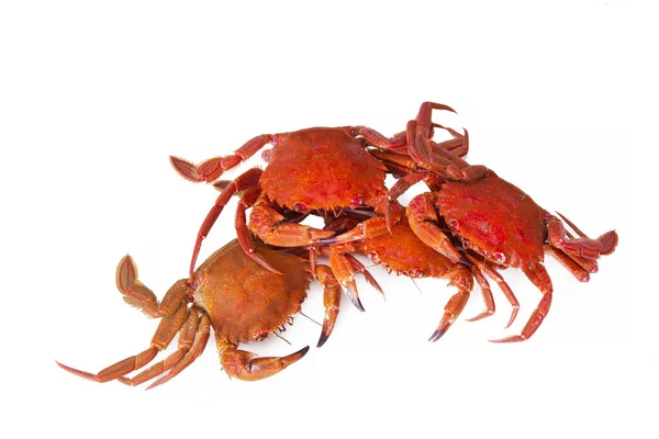 Seafood Crabs Isolated White — Stock Photo, Image