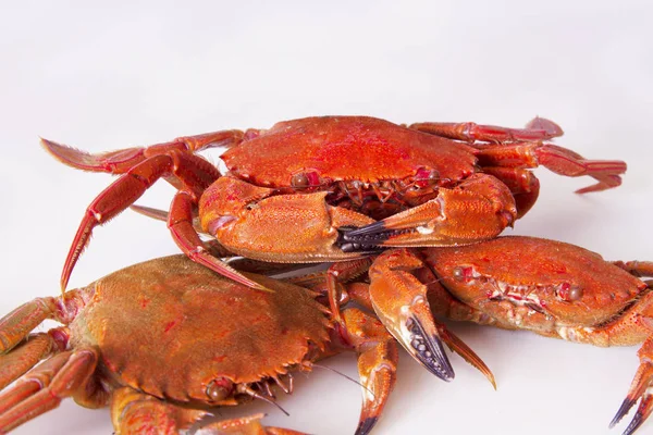 Seafood Crabs Isolated White — Stock Photo, Image