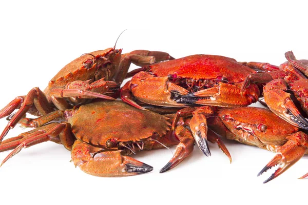 Crabes Isolés Sur Blanc — Photo