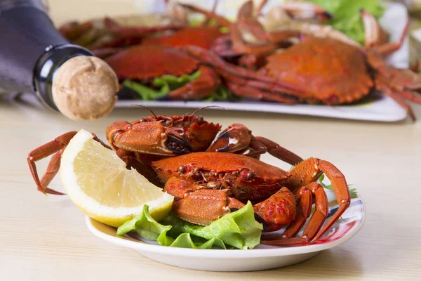 Comida Natal Frutos Mar Com Champanhe — Fotografia de Stock