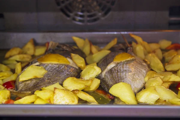 Peixe Assado Forno Com Batatas Pimentas — Fotografia de Stock