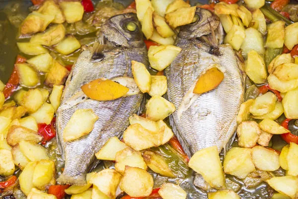 Peixe Assado Forno Com Batatas Pimentas — Fotografia de Stock