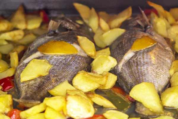 Peixe Assado Forno Com Batatas Pimentas — Fotografia de Stock