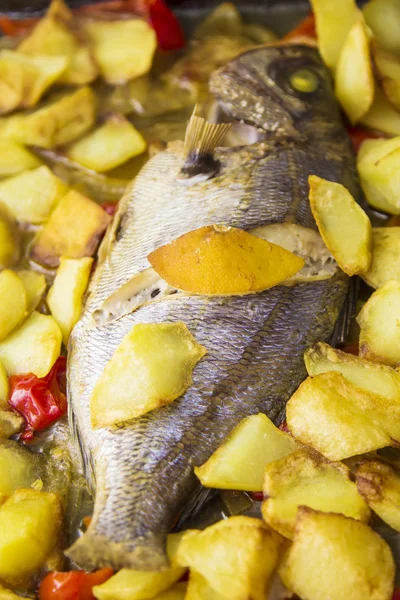 Peixe Assado Forno Com Batatas Pimentas — Fotografia de Stock