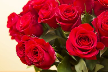 Bir buket kırmızı gül.