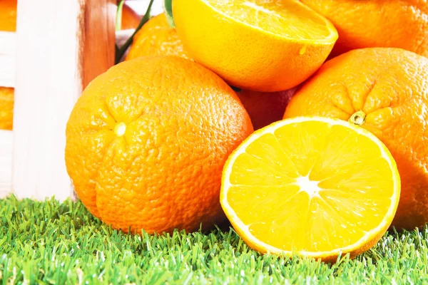 Naranjas Hierba Aislada — Foto de Stock