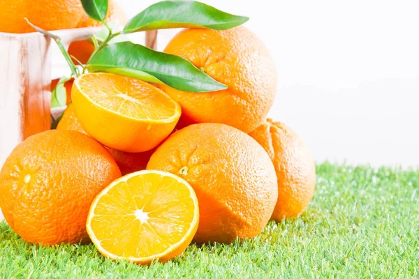 Naranjas Hierba — Foto de Stock